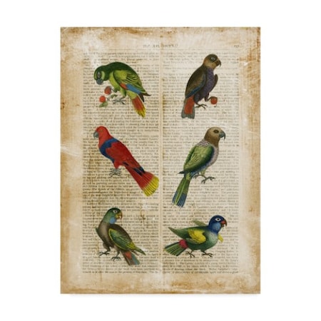 Vision Studio 'Antiquarian Parrots I' Canvas Art,24x32